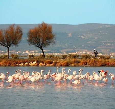 Appart Beziers Plage Екстер'єр фото