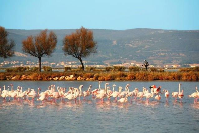 Appart Beziers Plage Екстер'єр фото